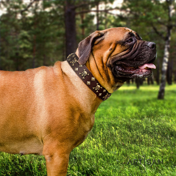 Einzigartiges Halsband für Bullmastiff