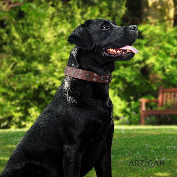 Günstiges Halsband für Labrador