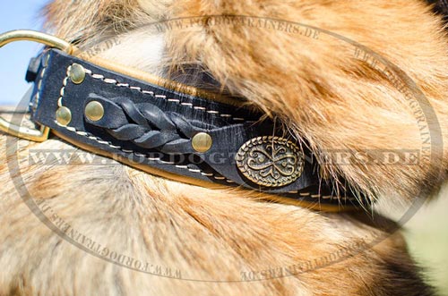 Buy German Shepherd leather dog collar
with padding