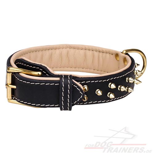 Leder Halsband mit Schmucken