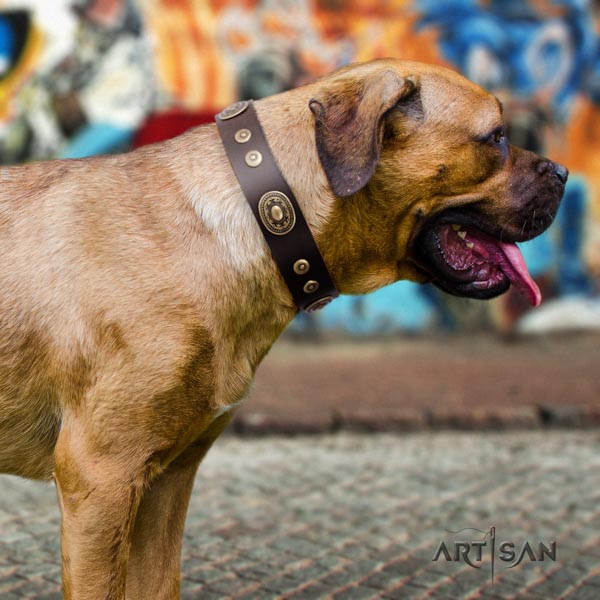 Braunes Halsband aus Echtleder für Cane Corso