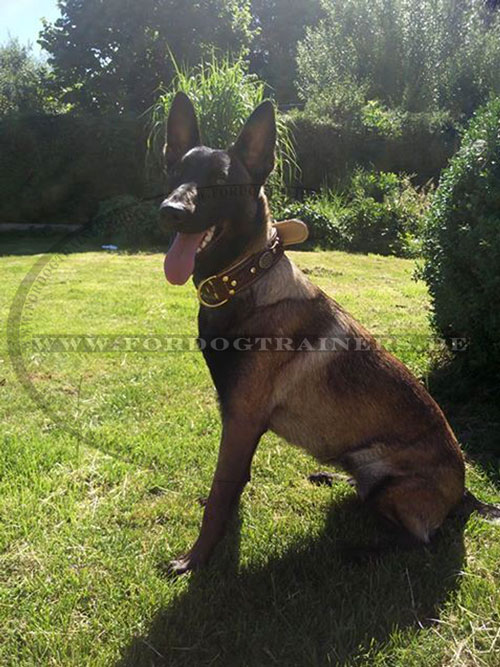 Schön geflochtenes Halsband aus Leder für Malinois