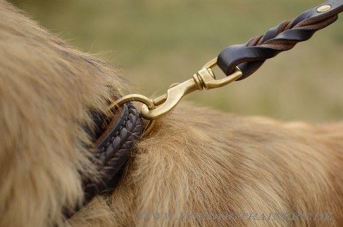 Halsband aus Leder für Tervueren