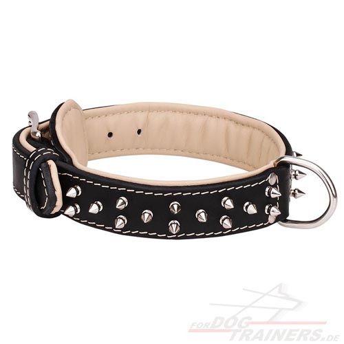 Leder Halsband kaufen