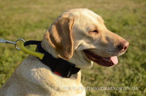 /images/dog-collars/Halsband-aus-Nylon-Labrador-small.JPG