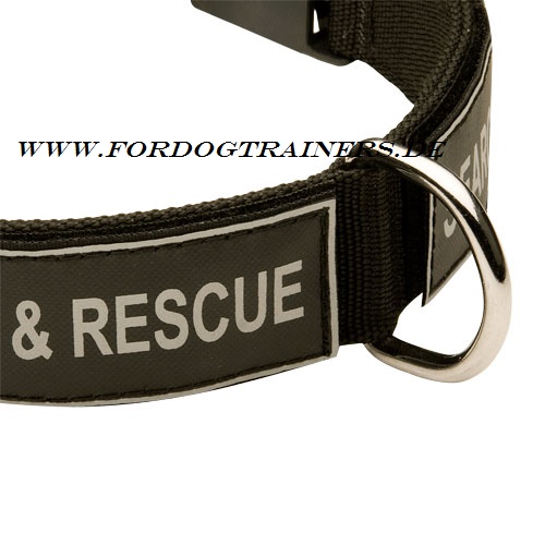 Halsband aus Nylon für Pitbull Terrier