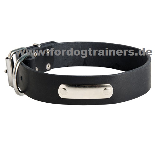 Dobermann Halsband aus Leder