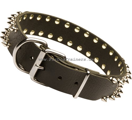 spiked dog collar of leather