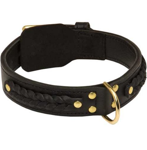  Malinois Halsband aus Leder