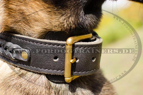 Halsband für Hunde-Sportaktivitäten