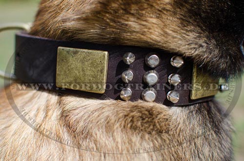 Malinois Lederhalsband mit Pyramiden