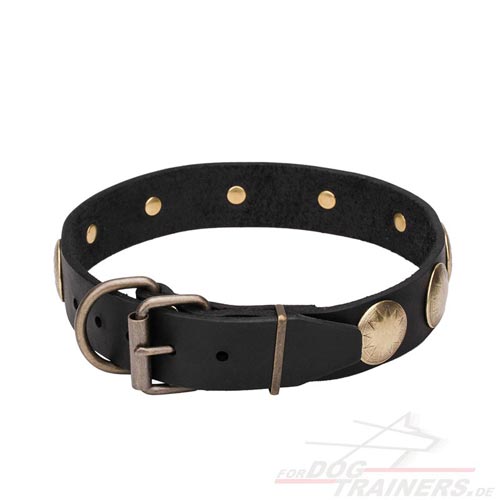 Wunderbares Lederhalsband online kaufen