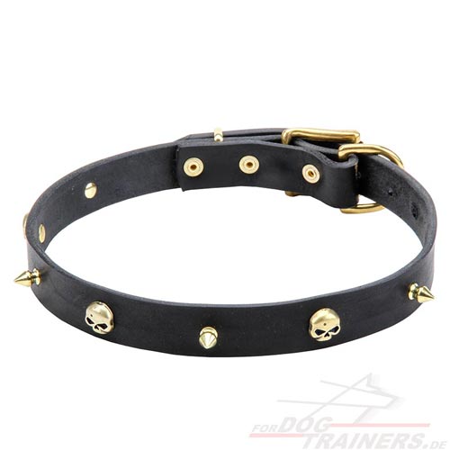 Halsband mit Messing Spikes und Schädel
elegant