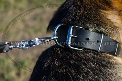 Hundehalsband für Deutschen
Schäferhud reißfest