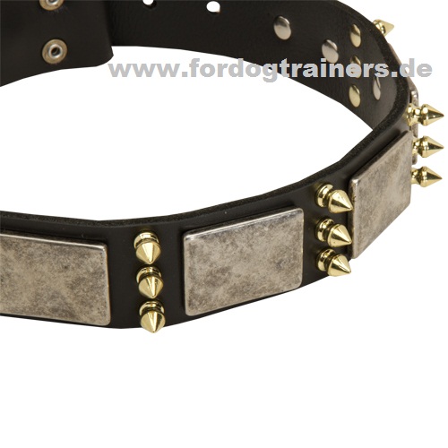 Handgefertigtes Hundehalsband Leder