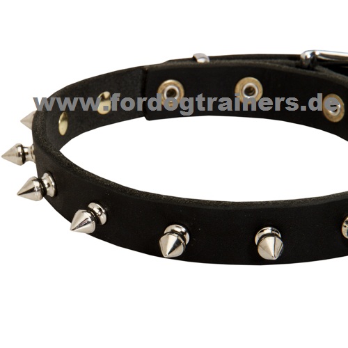 Halsband für Malinois