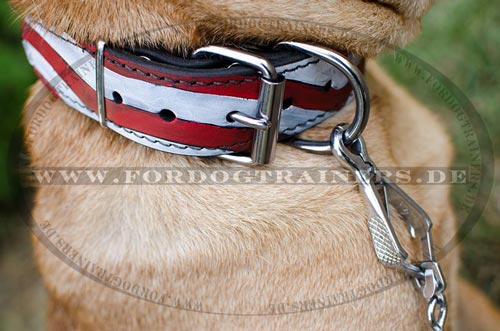 Breites Halsband für Shar Pei