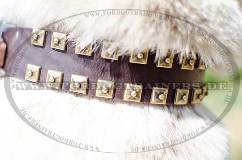 West Siberian Laika leather dog collar with blocks
