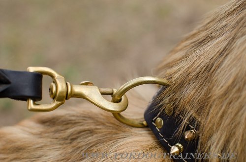 Hunde Halsband für
Tervueren