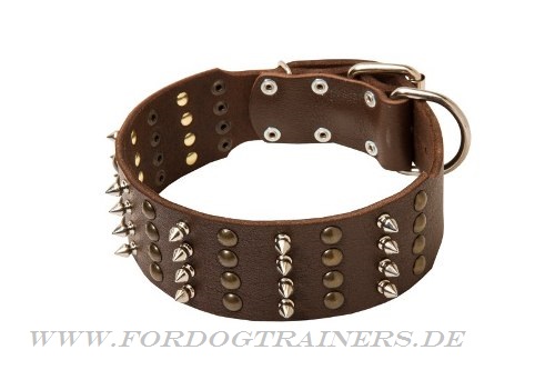 Pitbull Terrier Leder Halsband mit Nieten kaufen