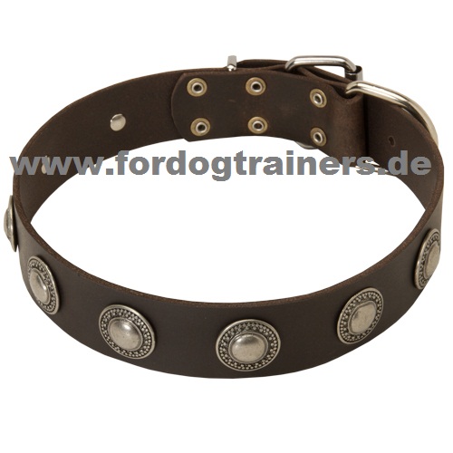 Lederhalsband kaufen