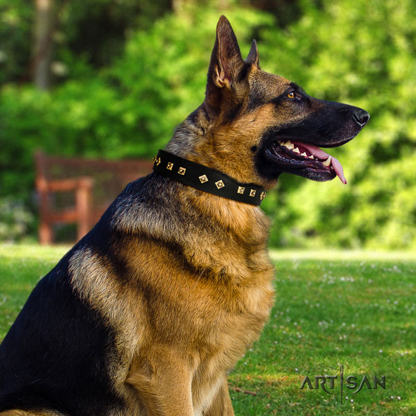 Schäferhund Halsband aus Leder in schwarz