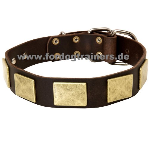 Halsband für Shar Pei kaufen