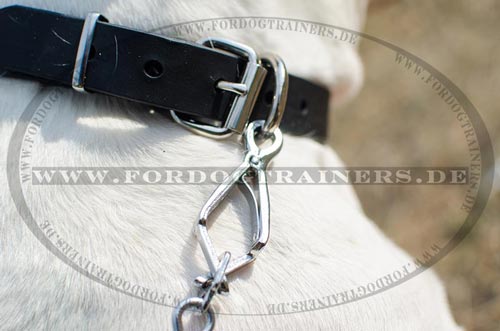 Halsband Leder für Bulldogge