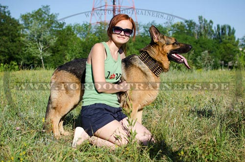 Schäferhund Niten Halsband kaufen