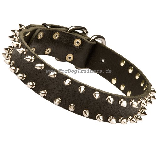 Hunde Halsband Leder S33 mit Dornen