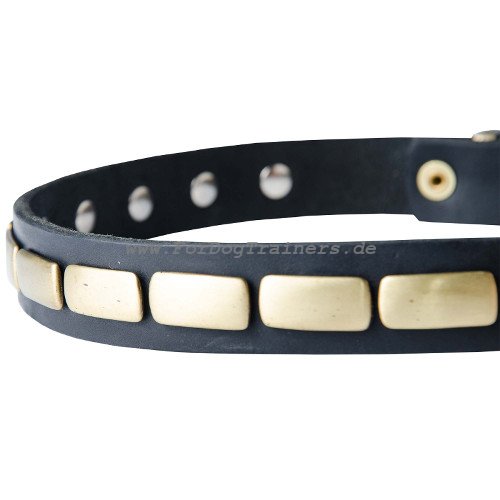 Hunde Halsband Leder mit Plattenverzierungen