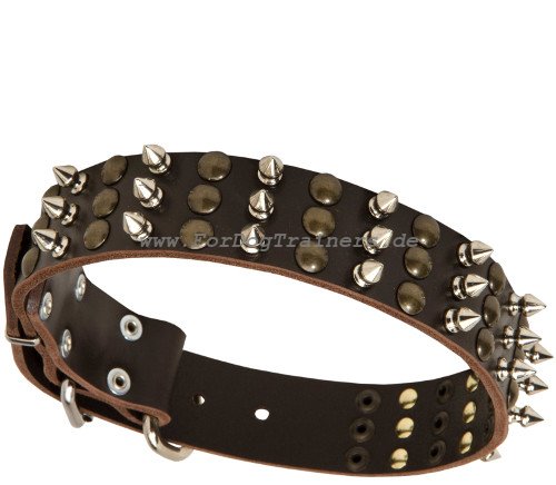 Hunde Halsband Nieten DE