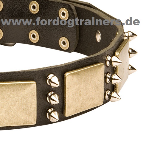 Dog collar with studs