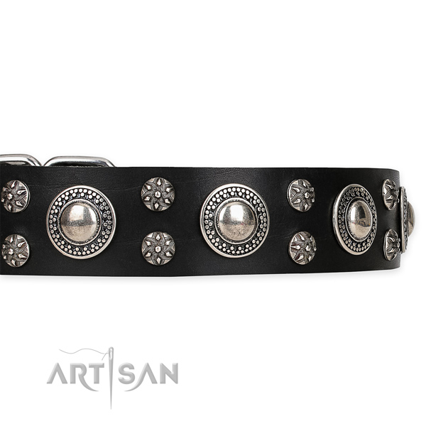 Dog collar with plates