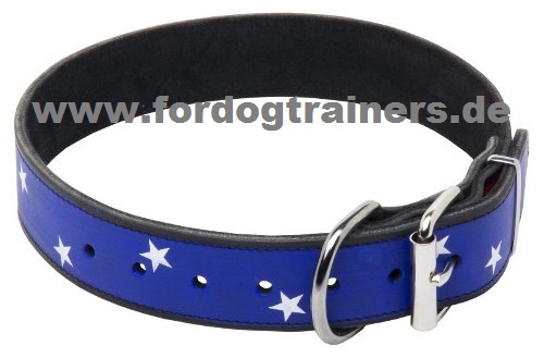 Bemaltes Halsband für Amerikanische
Bulldogge kaufen