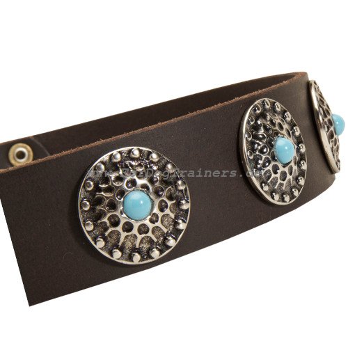 leather dog collar with blue decorations