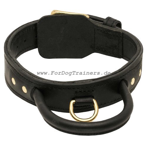 dog collars for big dogs with handle