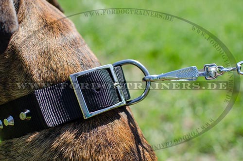 Multizweck Halsband für Boxer