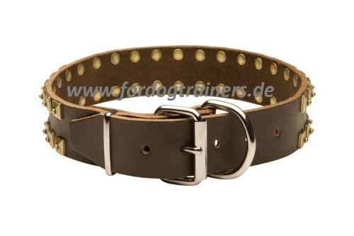 Studded dog collar for Great Dane buy