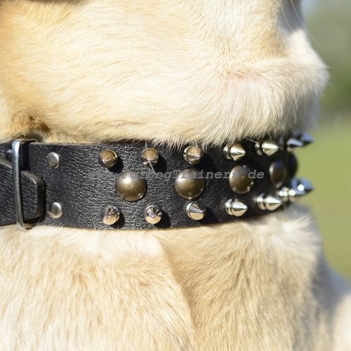 Hundehalsband für Labrador aus Leder mit Nieten