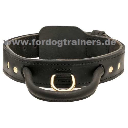 Dog collar with leather gripp