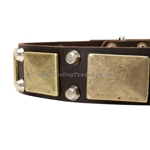 Halsband Hund Leder breit mit Zier-Pyramiden & Messing-Platten