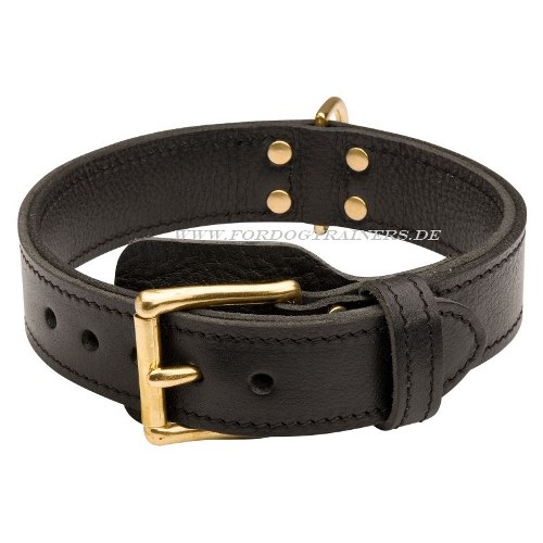 Pitbull Halsband kaufen