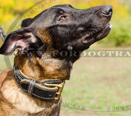 Geflochtenes Halsband aus Leder für Malinois