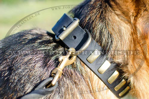 Schäferhundhalsband aus Leder