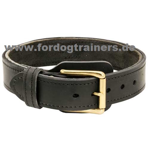 Leather collar with handgrip