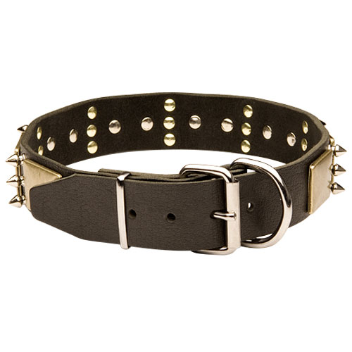  Hundehalsband Leder Bestseller