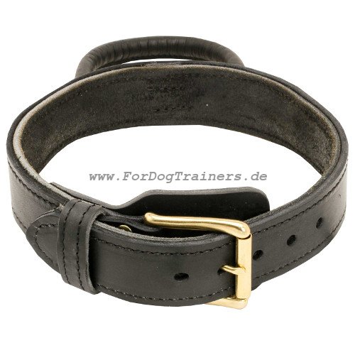 leather dog collar with plate under the buckle