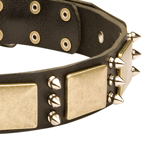 Malinois Halsband Das Beste