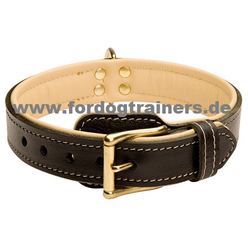 Leder Halsband Nappa gepolstert